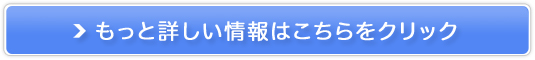 pGiLbg ̘rXbLT|[^[̔TCg